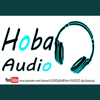 Hoba audio crimes - Hoba