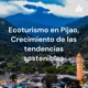 Ecoturismo en Pijao, Crecimiento de las tendencias sostenibles