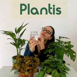 Luzes para plantas