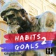 Habits 2 Goals: The Habit Factor® Podcast with Martin Grunburg