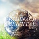 LA CONTAMINACION AMBIENTAL
