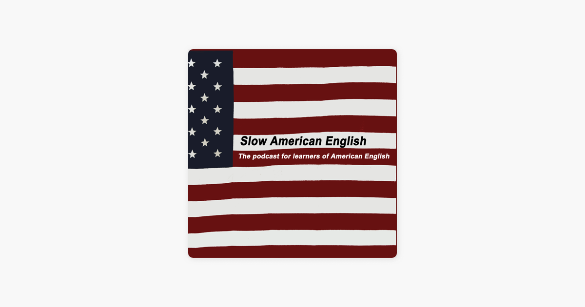 Slow American English Podcast Workbook Vol. 4: Exercise Worksheets and  transcripts for podcast episodes 37 - 48 (Slow American English Podcast  Workbooks): Tolliver, Karren Doll: 9781791951191: : Books