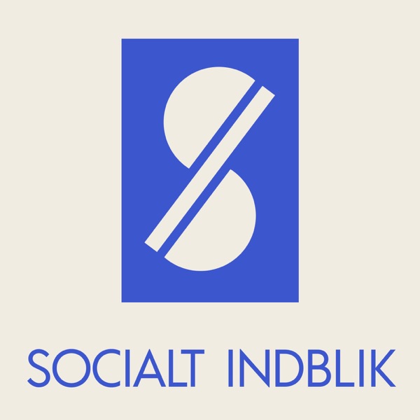 Socialt Indblik