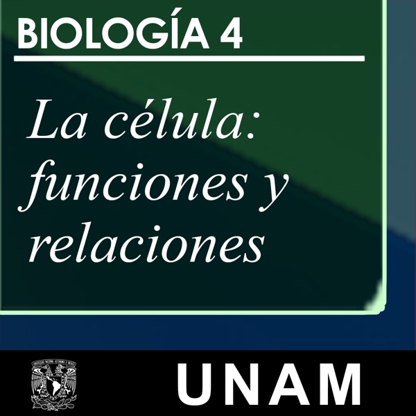 La célula: funciones y relaciones