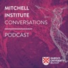 Queen's University Belfast - Mitchell Institute Conversations artwork