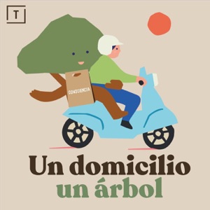 Un domicilio un árbol