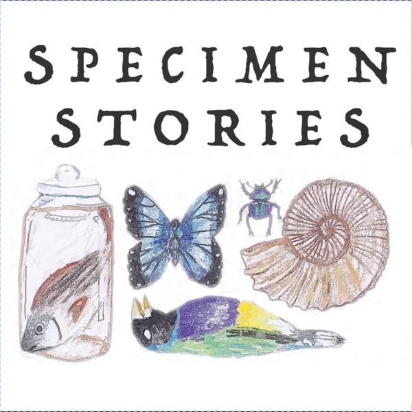 Specimen Stories