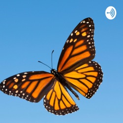 The Butterfly Podcast