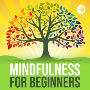 Mindfulness For Beginners