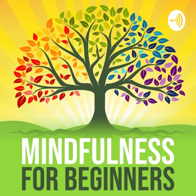 Mindfulness For Beginners:Shaun Donaghy