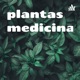 plantas medicinales