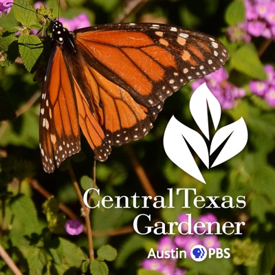 Central Texas Gardener