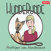 HundeRunde - Profitipps vom Hundecoach - Antenne Niedersachsen