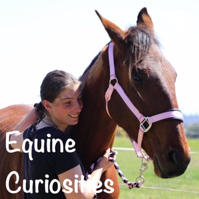 Equine Curiosities