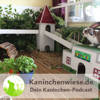 Kaninchenwiese.de Dein Kaninchen-Podcast - Kaninchenwiese