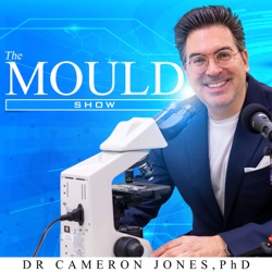 The Mould Show