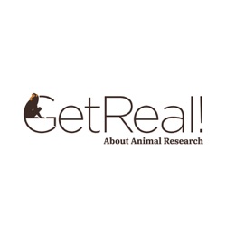 Replacing Animals in Research