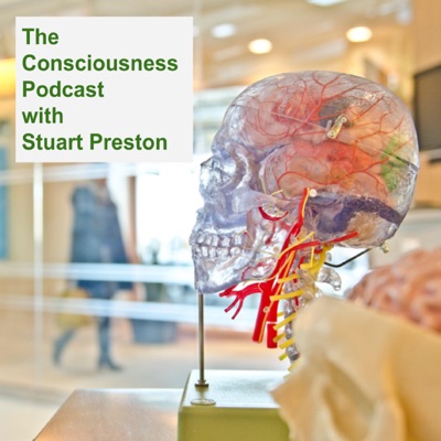 The Consciousness Podcast