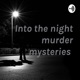 Into the night murder mysteries 