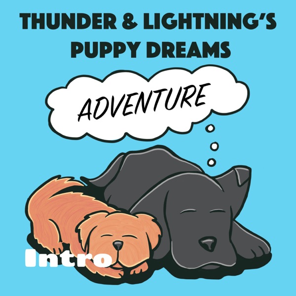 Intro - Thunder and Lightning's Puppy Dreams for Kids