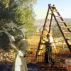 Olive Oil and Time