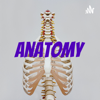 anatomy - Philip Rizzitano