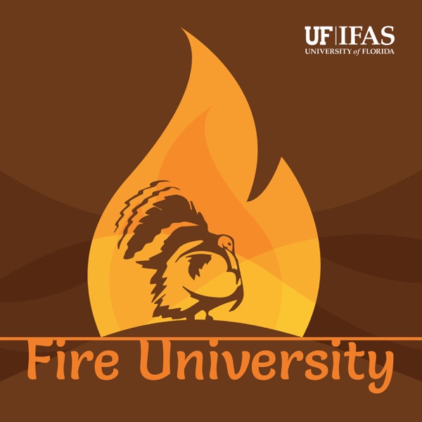 Fire University Artwork