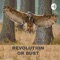 Revolution or Bust