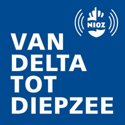 De Waddenzee als samenloop van omstandigheden. Met marien ecologe Katja Philippart