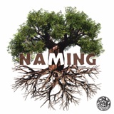 Naming