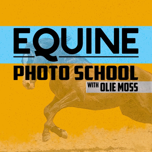 Equine Photo School Artwork