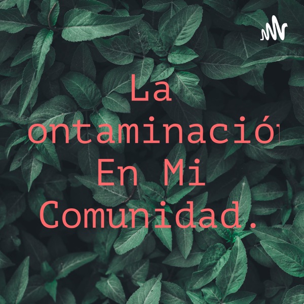 La Contaminación En Mi Comunidad.