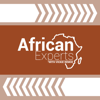 African Experts with Vickie Remoe - African Experts