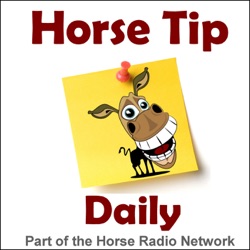 1522: Five Ways to Improve Your Horse Life or Business with LiveEQ