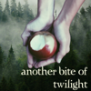 Another Bite of Twilight - Melissa Duffy and Kelly Anderson