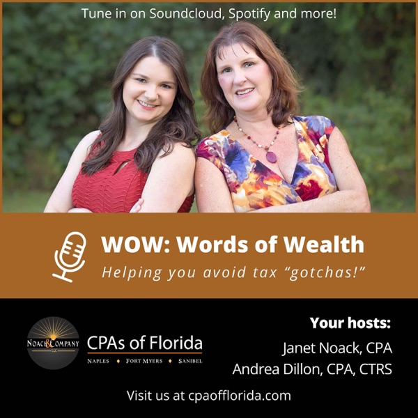 WOW - Words of Wealth by CPAs of Florida - Noack & Company