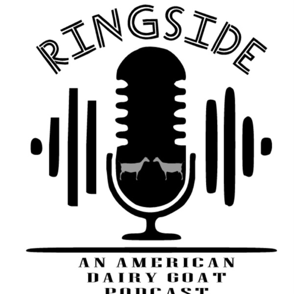 Ringside: An American Dairy Goat Podcast Artwork