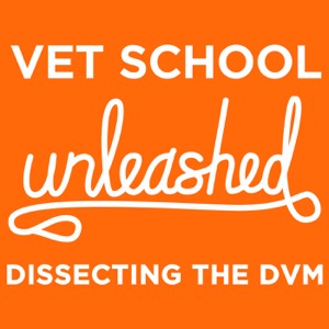 Vet School Unleashed: Dissecting the DVM - Talking About All Things Veterinary School