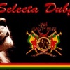 Reggae & Dancehall Vybz