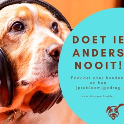 Ep.17:  Vijf tips om de wandeling met je uitvallende hond veilig te maken