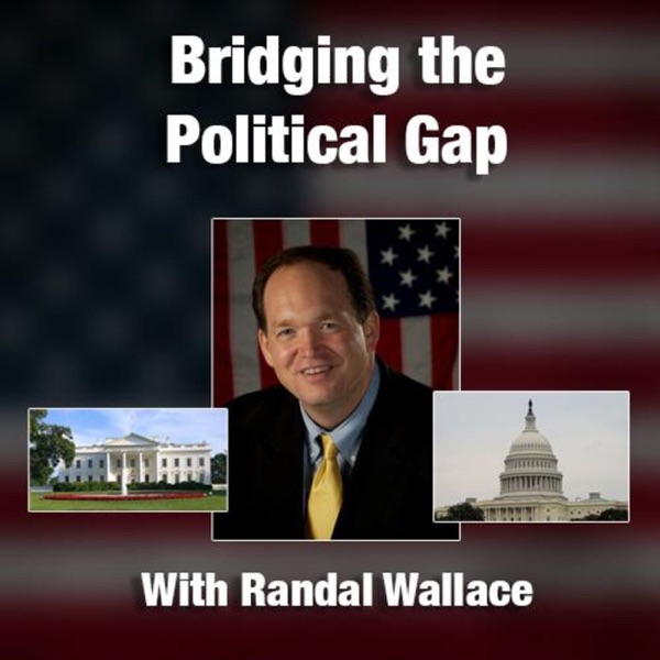 Bridging the Political Gap Artwork