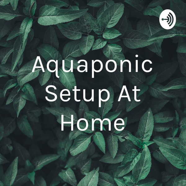 Aquaponic Setup At Home Artwork