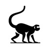 The Rogue Monkey Podcast