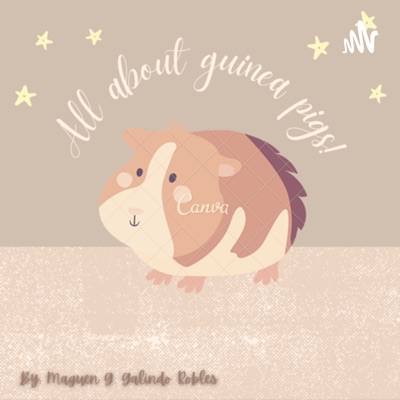 All about guinea pigs