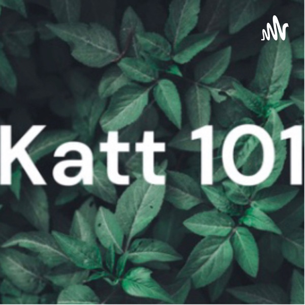 Katt 1 on 1 