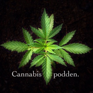 Cannabispodden