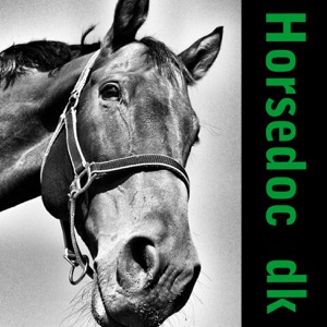 Horsedoc.dk - Hestedyrlæger