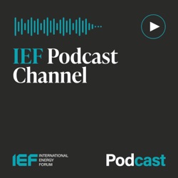 IEF Dialogue Dispatch: Lord Browne on New Energy Technologies, the Investment Crisis and How We Can Achieve Net Zero