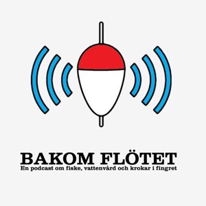 Bakom Flötet