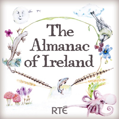 The Almanac of Ireland:RTÉ Radio 1